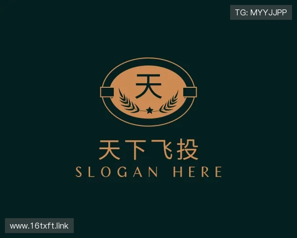 洞悉天下飞投